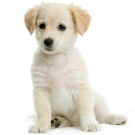 ���@�����a�@�@�x�m���s�@��؂ǂ��Ԃa�@