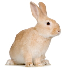 �E�T�M�@�����a�@�@�x�m���s�@��؂ǂ��Ԃa�@