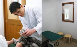 �f�@���Ɛf�@�P