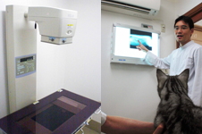 �����g�Q����